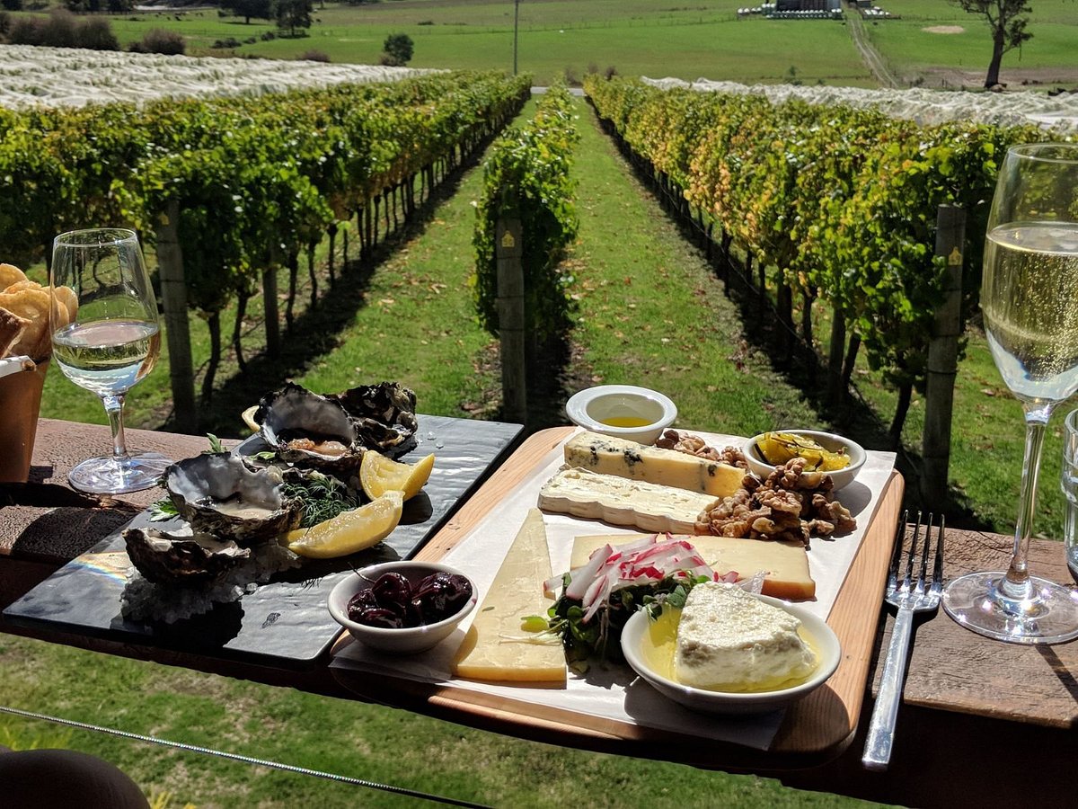 Panoramic view of a lush vineyard with rows of grapevines stretching into the distance. In the foreground, a rustic wooden table is set with an assortment of Tasmanian cheeses and glasses of wine for degustation, set against a clear sky.